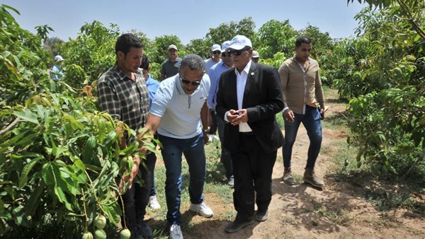 صورة من الحدث