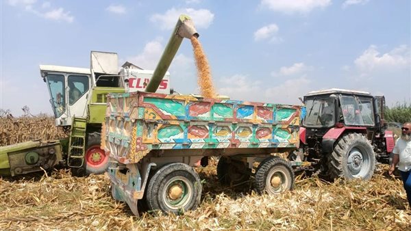 صورة من الحدث