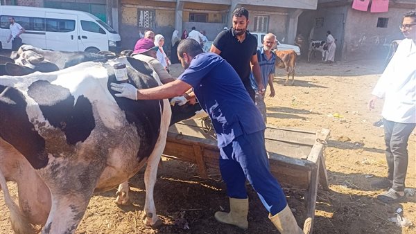 صورة من الحدث