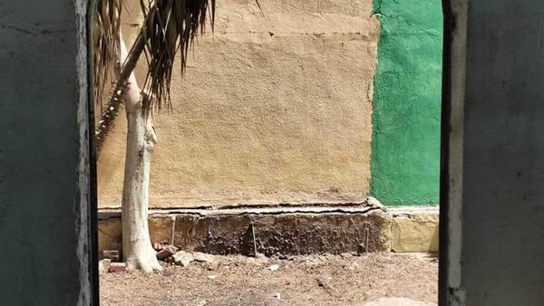 صورة من الحدث