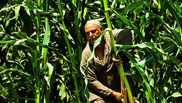 صورة ارشيفية 