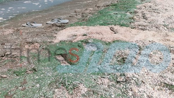 صورة من الحدث