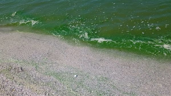 صورة من الحدث