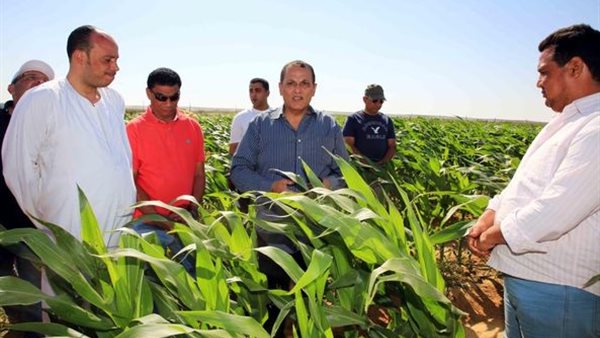 صورة من الحدث