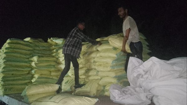 صورة من الارشيف 