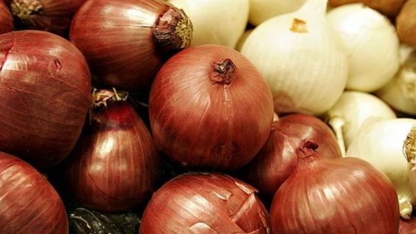 سعر البصل اليوم الخميس