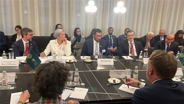 جانب من اللقاء