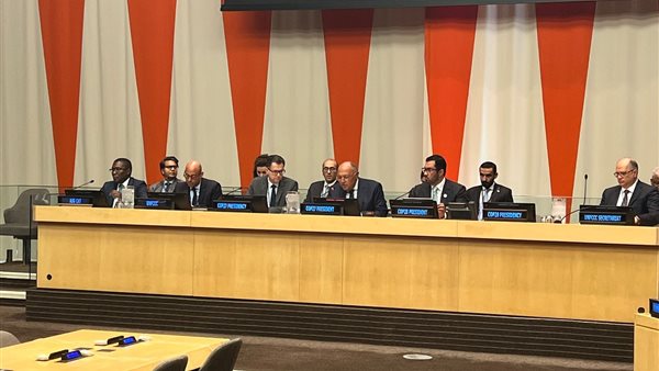 مشاركة وزير الخارجية