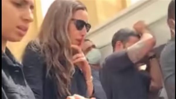 دينا الشربينى 