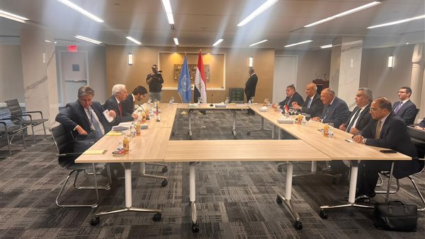 لقاء وزير الخارجية