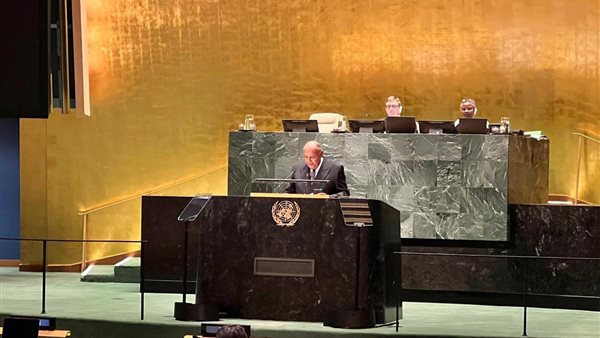 وزير الخارجية 