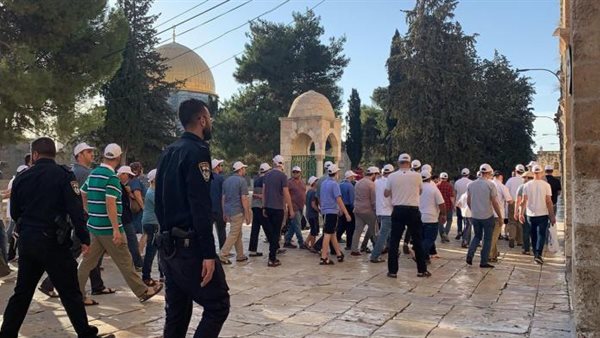 صورة من الحدث 