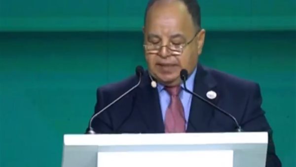 وزير المالية 