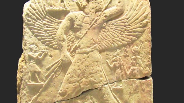 صورة من الحدث 