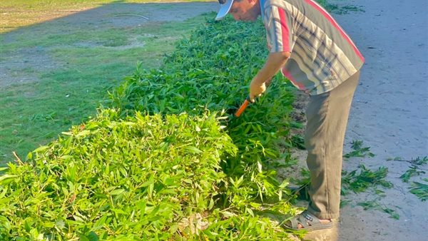 صورة من الحدث 