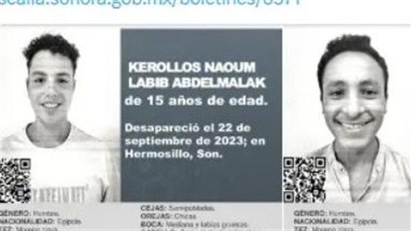 الشابين المصريين