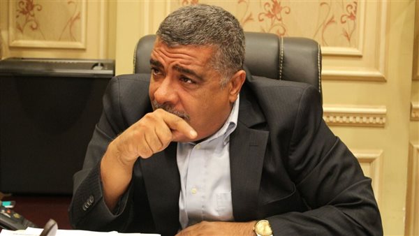 النائب معتز محمود