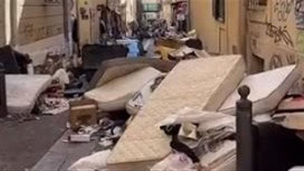 حشرات البق فى فرنسا