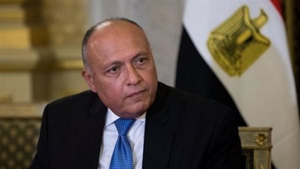 سامح شكري وزير الخارجية