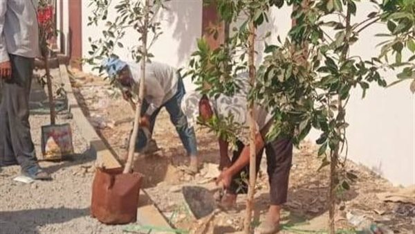 صورة من الحدث 