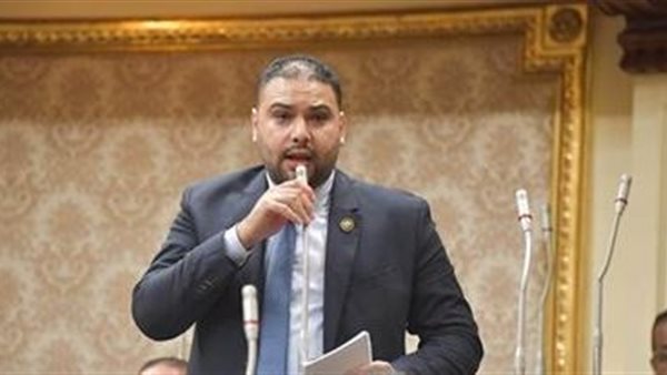  النائب إبراهيم الديب