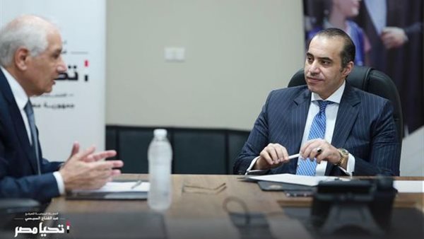 المستشار محمود فوزى