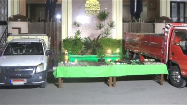 صورة من الحدث 