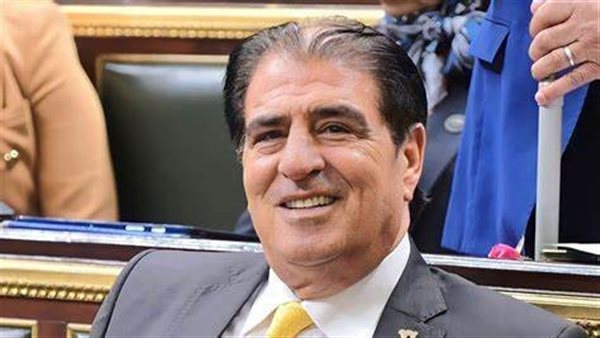 النائب أحمد فؤاد