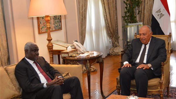 وزير الخارجية ومفوض