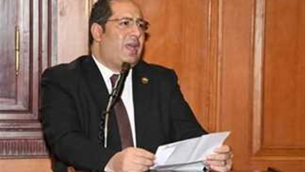 النائب أحمد سعد نويصر
