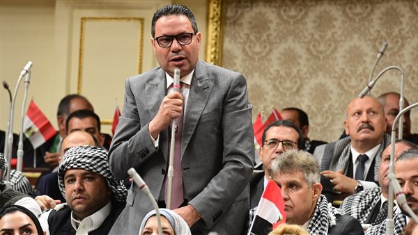  النائب هشام الحصرى