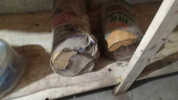 جبن رومي فاسد