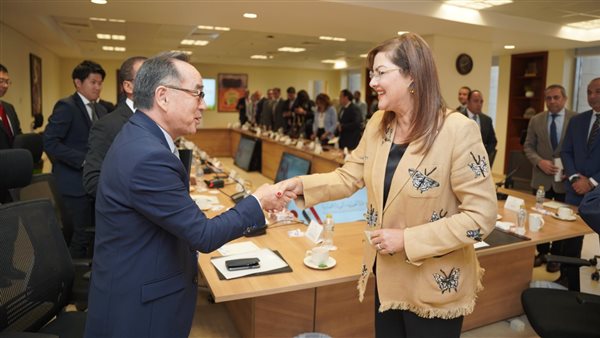 وزيرة التخطيط