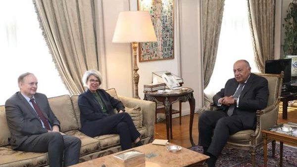 وزير الخارجية يلتقي