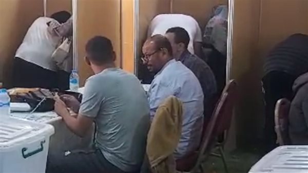 العملية الانتخابية