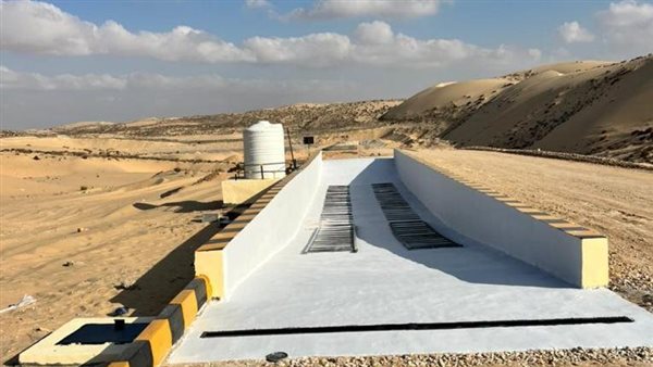 صورة من الحدث