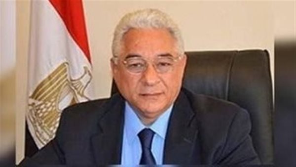 السفير علي الحفني