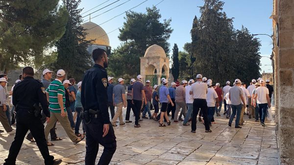 صورة ارشيفية