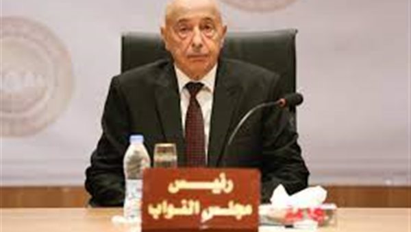 عقيلة صالح رئيس مجلس