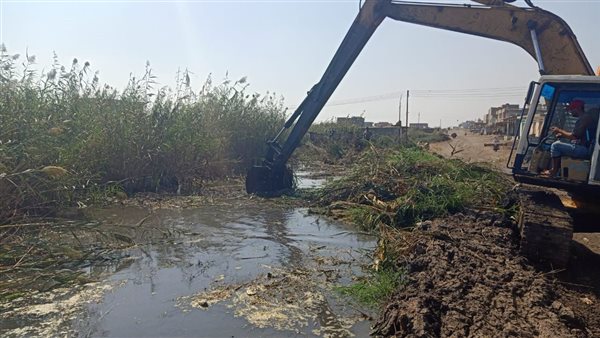 صورة من الحدث 