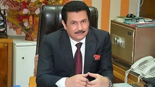 الدكتور محمد الصالحى