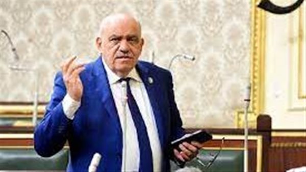 سيد حنفى طه