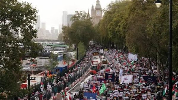 مظاهرات مؤيدة لفلسطين