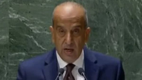 مندوب مصر بالأمم