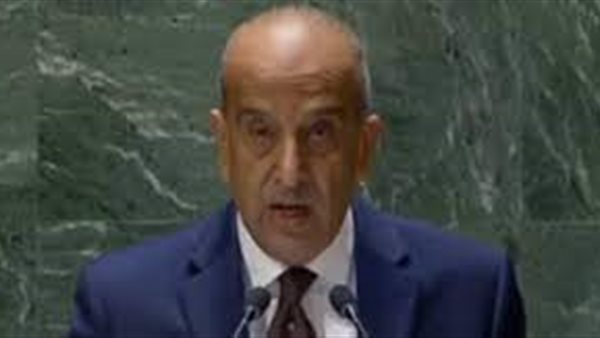  مندوب مصر لدى الأمم