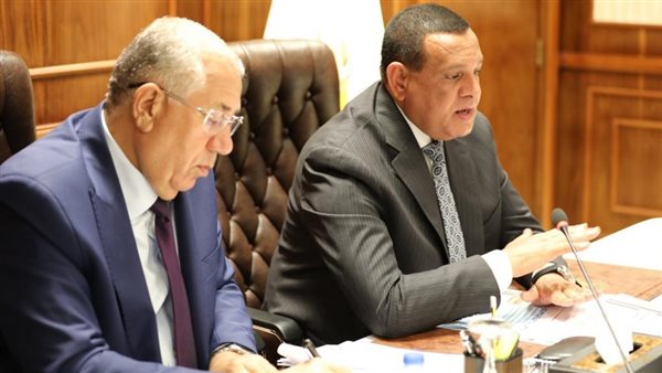 وزيرا التنمية المحلية