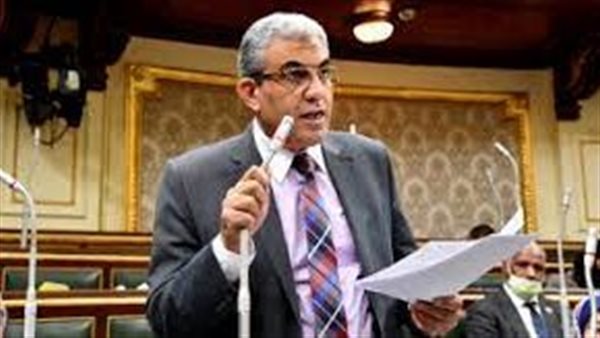 النائب عادل عبد الفضيل