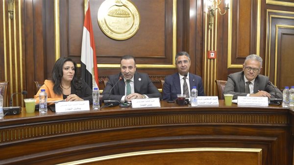 النائب احمد بدوي