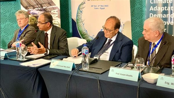  سيد إسماعيل، نائب