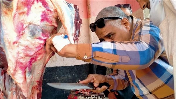 جانب من الحملات